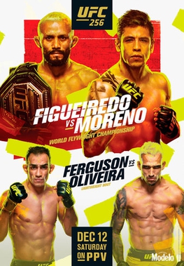 Fight Poster